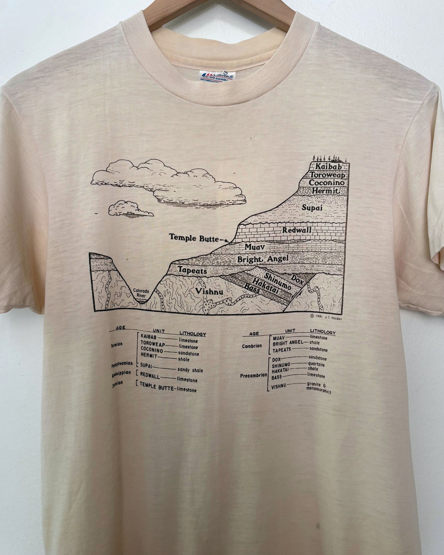 Stratigraphy Tee