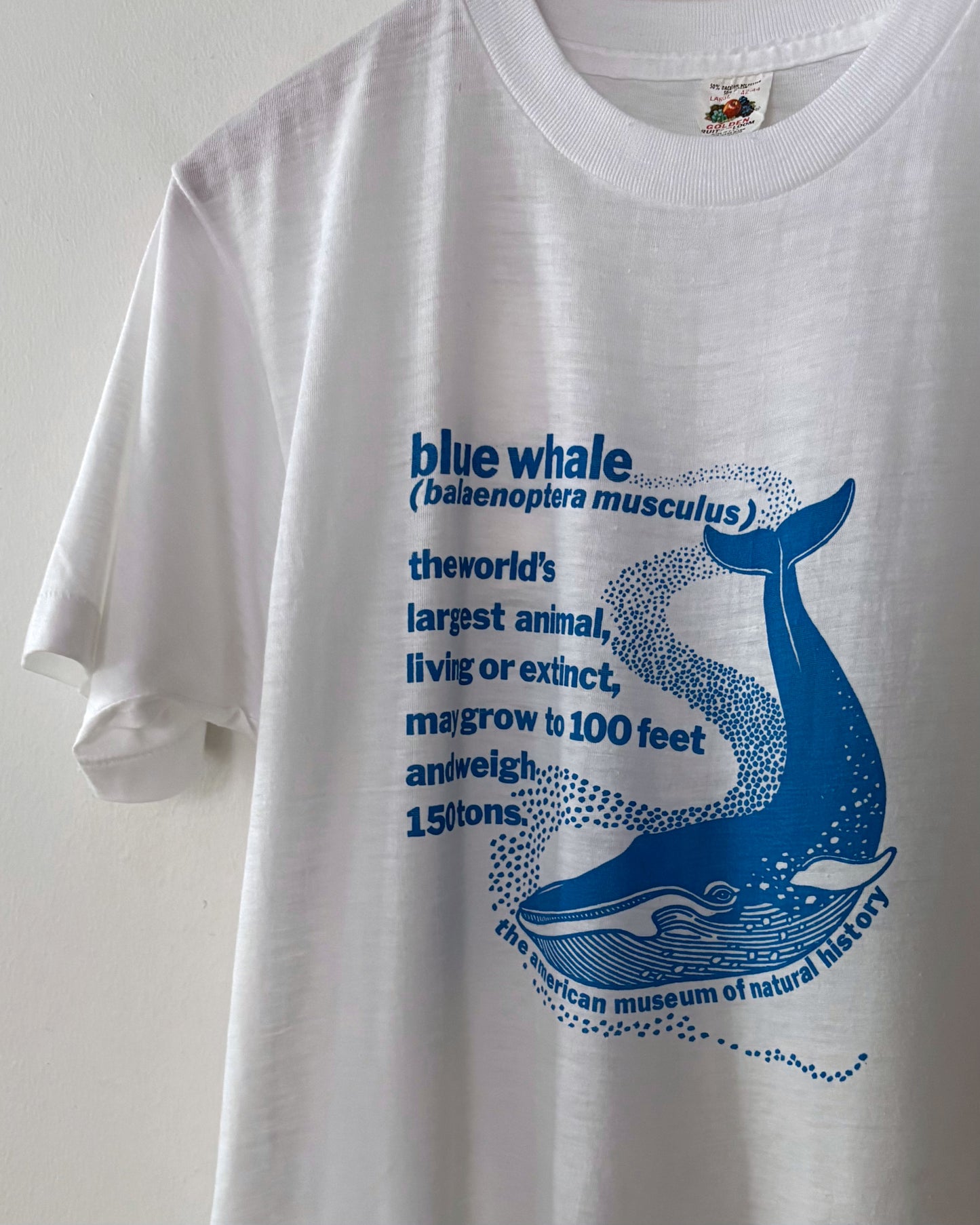 American Museum of Natural History Tee