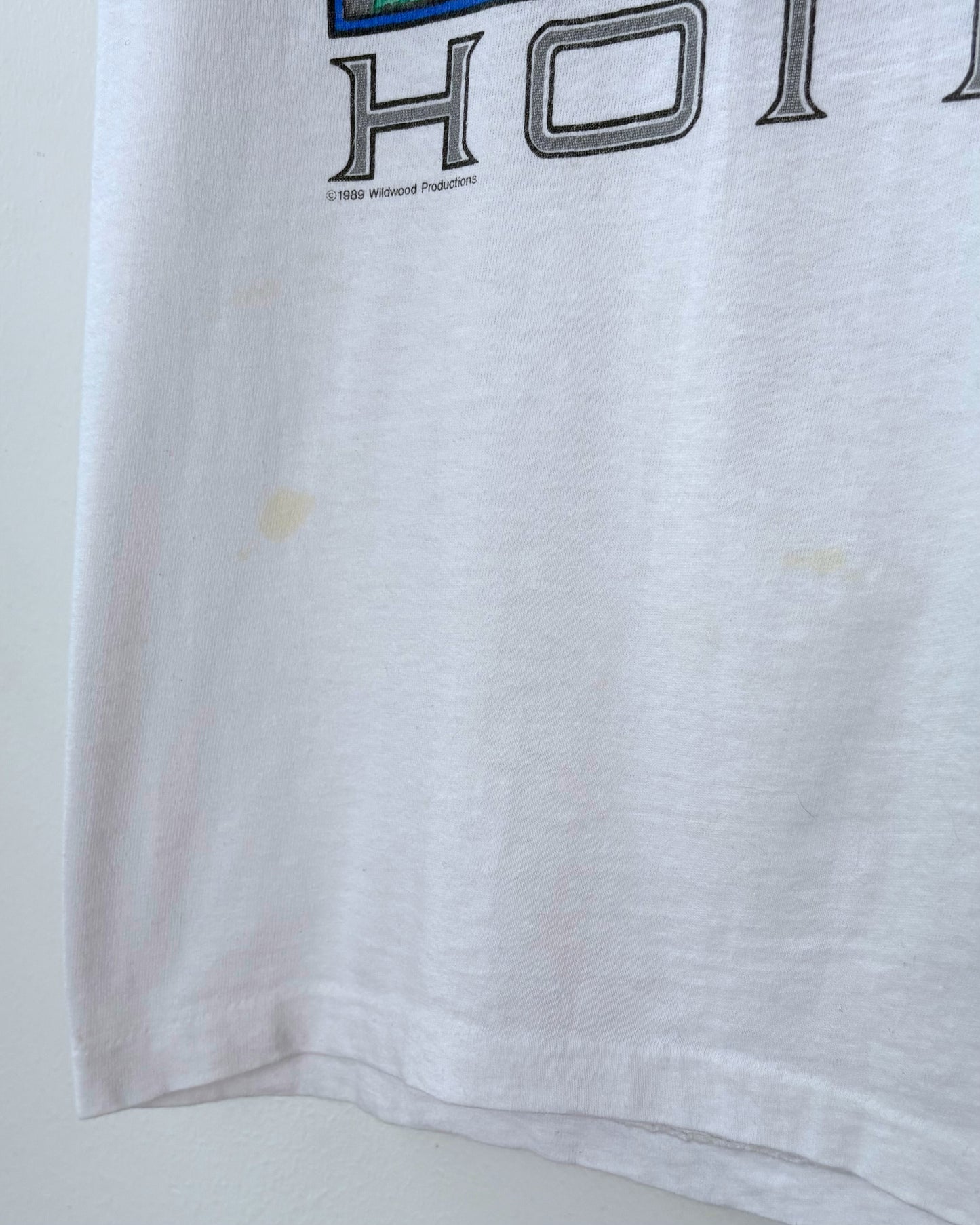 Hoitsu Tee