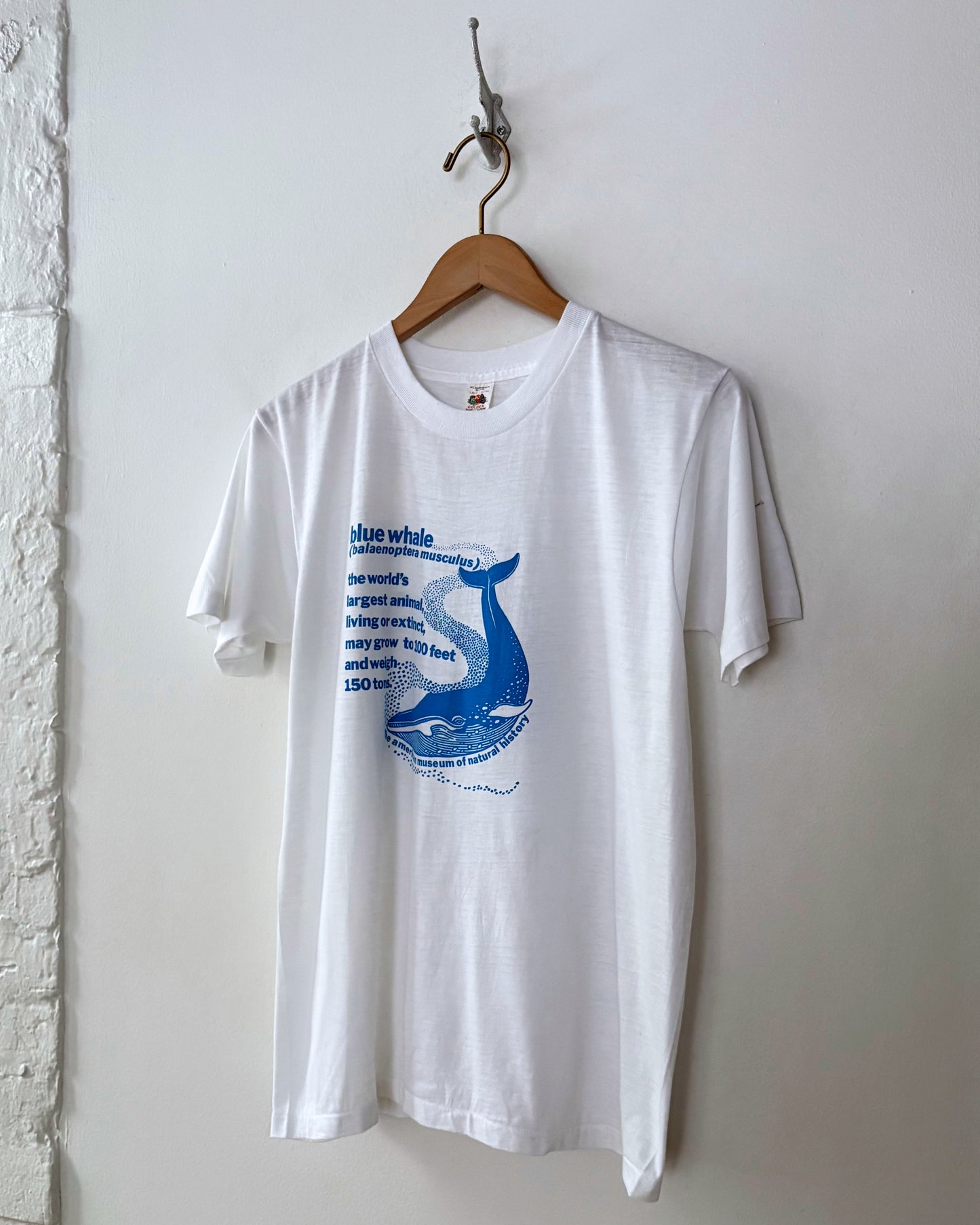 American Museum of Natural History Tee