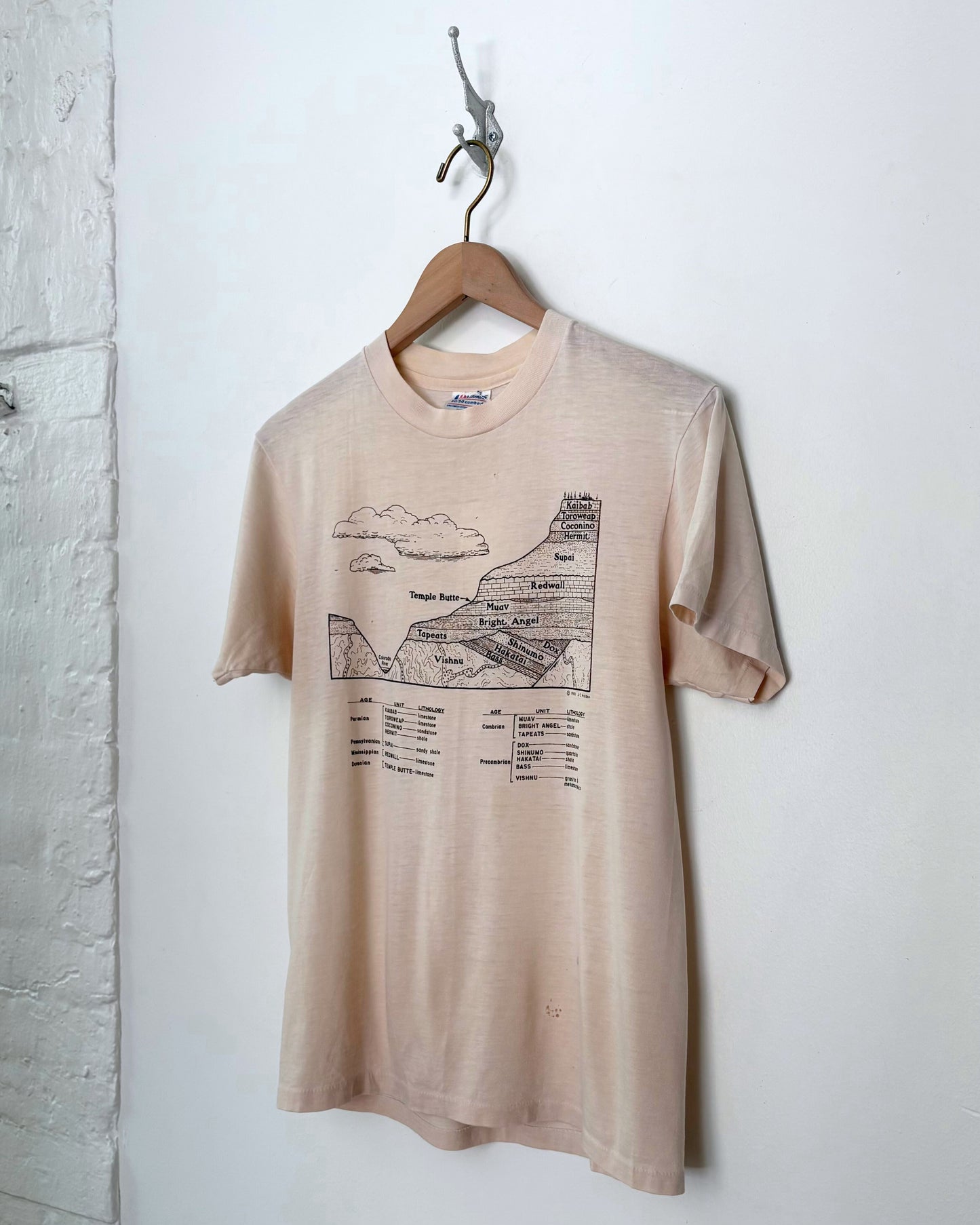 Stratigraphy Tee